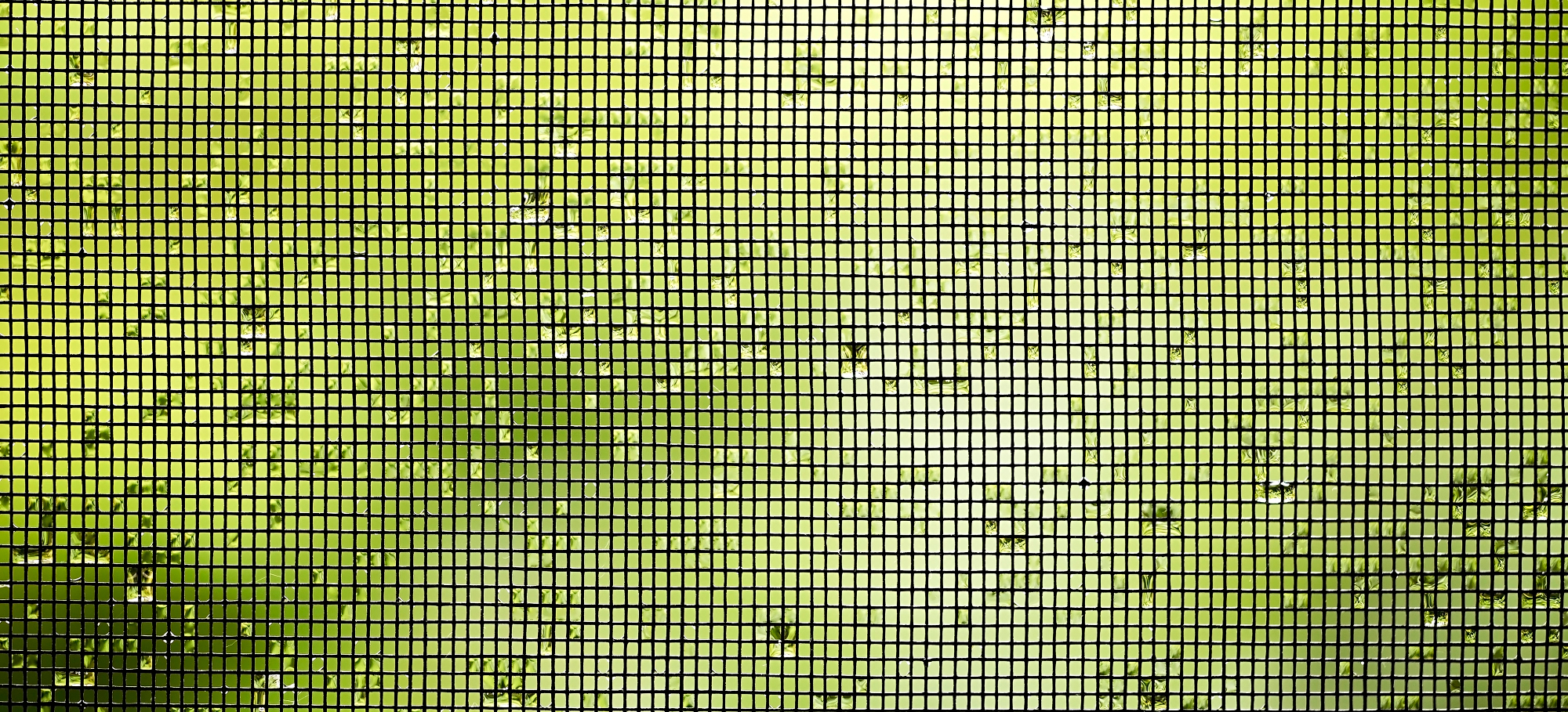 Sosedo so zanimali komarniki za na okna